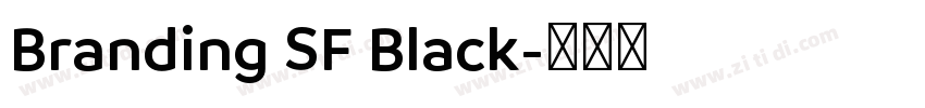 Branding SF Black字体转换